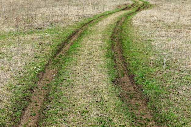 Landstraße in einem Feld im frühen Frühling junges grünes Gras