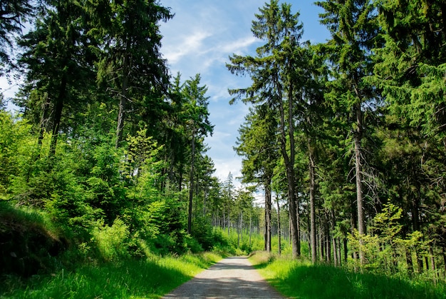 Landstraße in Sudetengebirgen, Polen