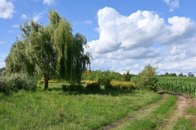 Landstraße vom Dorf