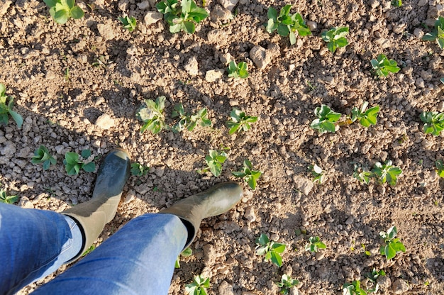 Landwirt auf einem Gebiet