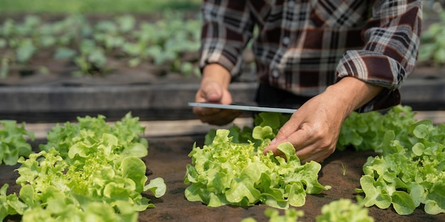 Landwirt Überprüfung der Qualität durch Tablet-Landwirtschaft moderne Technologie Konzept mit modernen Technologien in der Landwirtschaft Man Agronom Bauer mit digitalem Tablet-Computer