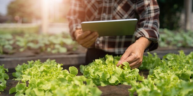 Landwirt Überprüfung der Qualität durch Tablet-Landwirtschaft moderne Technologie Konzept mit modernen Technologien in der Landwirtschaft Man Agronom Farmer mit digitalem Tablet-Computer