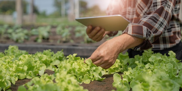 Landwirt Überprüfung der Qualität durch Tablet-Landwirtschaft moderne Technologie Konzept mit modernen Technologien in der Landwirtschaft Man Agronom Farmer mit digitalem Tablet-Computer