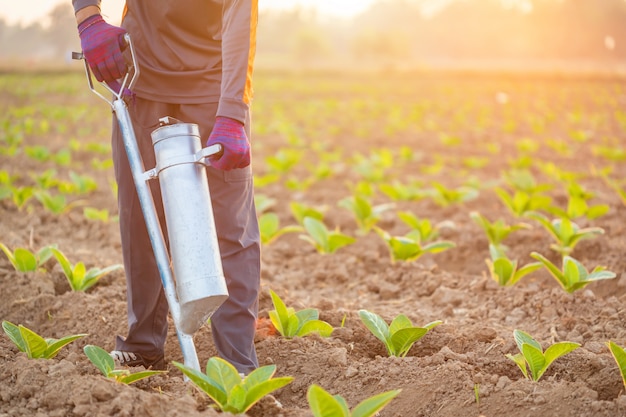 Landwirt, der auf dem Gebiet arbeitet und Düngemittel gibt, indem er Werkzeug in den Boden gräbt