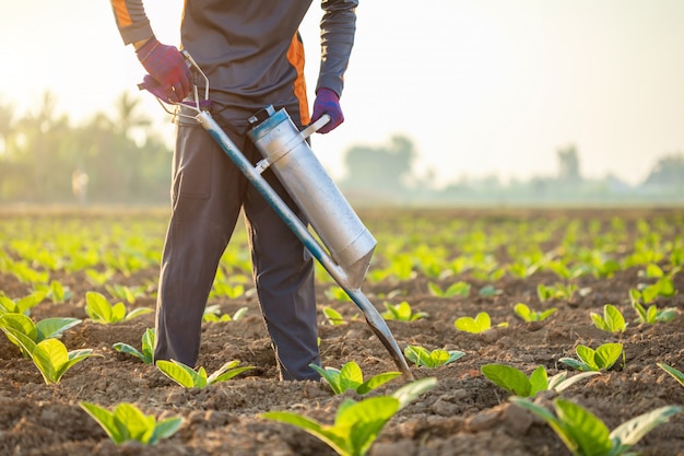 Landwirt, der auf dem Gebiet arbeitet und Düngemittel gibt, indem er Werkzeug in den Boden gräbt