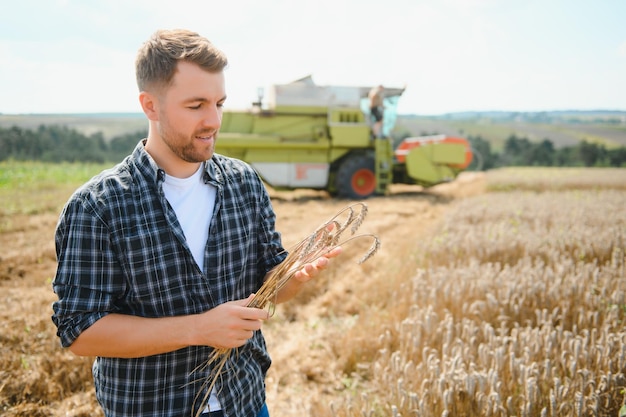 Landwirt, Der Bei Der Ernte Im Weizenfeld Steht