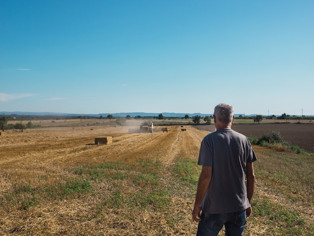 Landwirt, der das Feld mit dem Traktor betrachtet, der den selektiven Fokus des Getreidestrohs verpackt