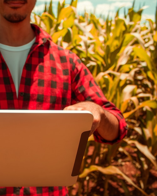 Landwirt, der digitalen tablet-computer, kultivierte maisplantage im hintergrund verwendet