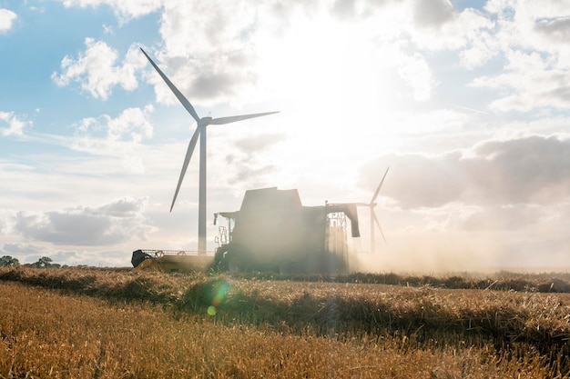 Landwirt, der einen Mähdrescher fährt, der bei Sonnenuntergang auf einem Weizenfeld arbeitet