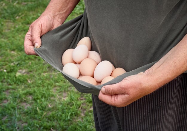 Landwirt, der frische Bio-Eier hält