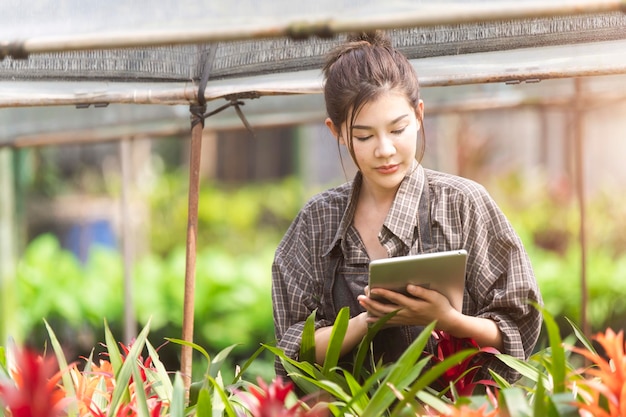 Foto landwirt, der tablet-computer verwendet, um daten zu analysieren und die qualität zu prüfen