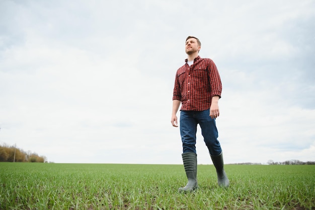 Landwirt, der zwischen landwirtschaftlichen Feldern geht