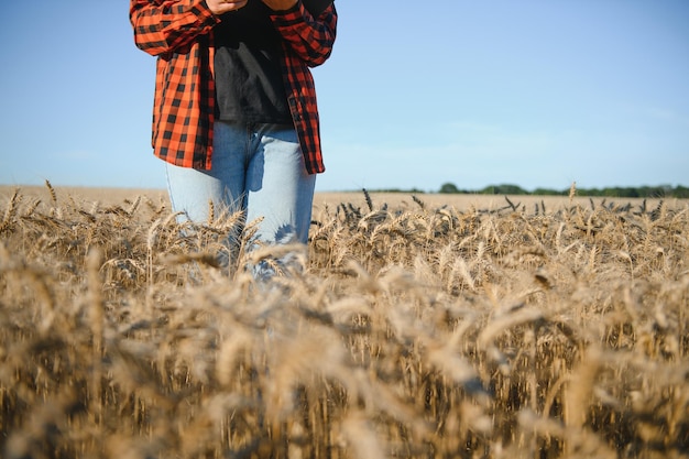 Landwirt Frau arbeitet im Weizenfeld bei Sonnenuntergang Agronom Landwirt Geschäftsfrau untersucht Tablet im Weizenfeld Moderne Technologen und Gadgets in der Landwirtschaft Geschäftsfrau, die im Feld arbeitet