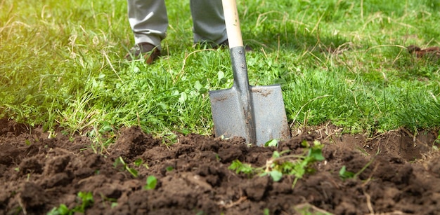 Landwirt gräbt Erde mit Schaufel im Garten