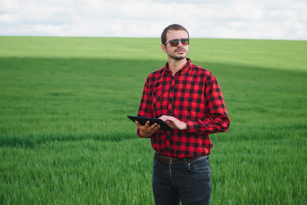 Landwirt im roten karierten Hemd unter Verwendung der Tablette auf Weizenfeld. Anwendung moderner Technologien und Anwendungen in der Landwirtschaft. Konzept der intelligenten Landwirtschaft und Agrarindustrie