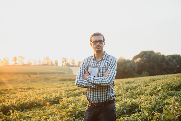 Landwirt in Sojabohnenfeldern. Wachstum, im Freien.