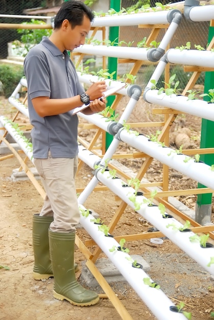 Foto landwirt kontrolliert das wachstum von bio-gemüse