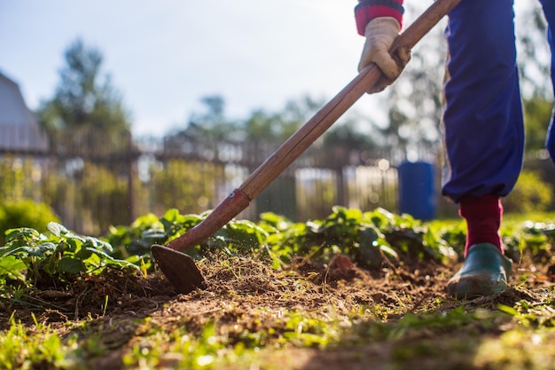 Landwirt kultiviert Land im Garten mit Handwerkzeugen Bodenlockerung Gartenkonzept Landwirtschaftliche Arbeit auf der Plantage