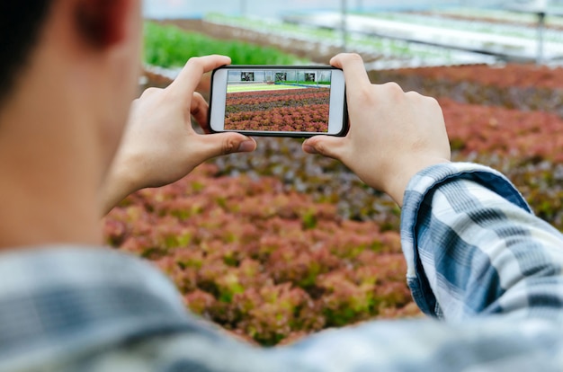 Landwirt machen Foto mit digitalem Handy in organischer Hydroponik