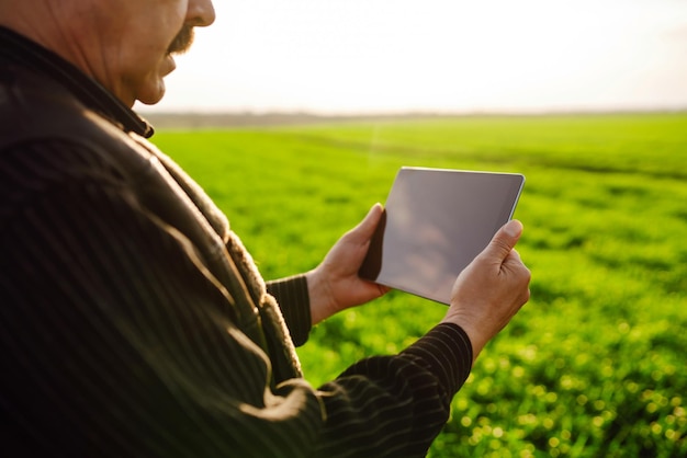 Landwirt mit digitalem Tablet in seinen Händen überprüft den Zustand von jungem Weizen im Feld Rich Harvest