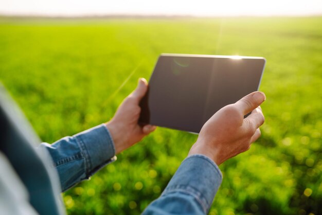 Landwirt mit einem digitalen Tablet in seinen Händen überprüft den Zustand von jungem Weizen im Feld Rich Harvest