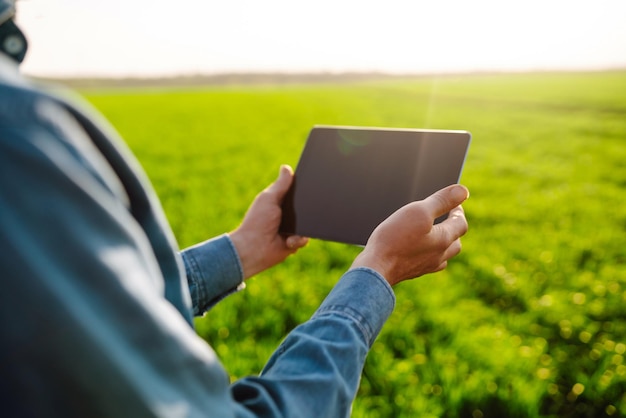 Landwirt mit einem digitalen Tablet in seinen Händen überprüft den Zustand von jungem Weizen im Feld Rich Harvest