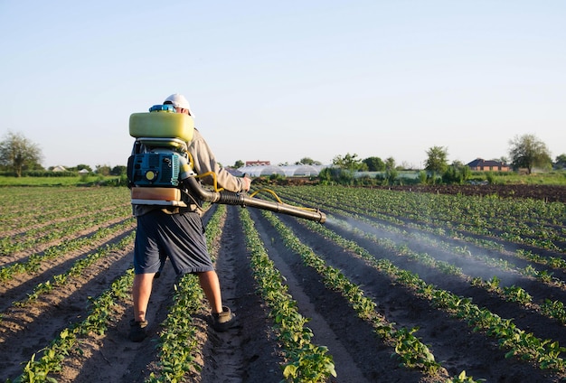 Landwirt mit einem Sprühgerät besprüht Plantagenpflanzen Schutz von Kulturpflanzen vor Insekten- und Pilzinfektionen Resistenz der Kulturpflanze gegen Schädlinge Chemische Industrie in der landwirtschaftlichen Landwirtschaft