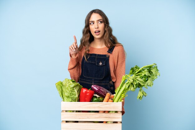 Landwirt mit frisch ausgewähltem Gemüse in einem Kasten eine Idee denkend, die oben den Finger zeigt