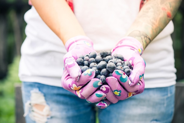 Landwirt- oder Gärtnerfrau, die Blaubeeren in den Händen hält