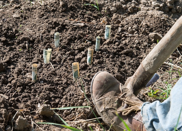 Landwirt pflanzt Geld