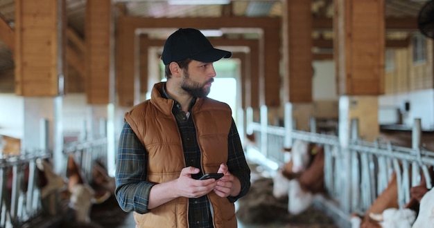 Landwirtbesitzer, der Tierfutterstellen überprüft und sich Notizen auf dem Smartphone im Kuhstall macht Mann, Landarbeiter, der eine Scheune geht, die die Molkerei inspiziert Milchwirtschaftsbetrieb