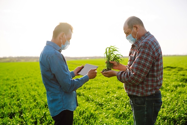 Landwirte diskutieren landwirtschaftliche Fragen zu jungem Weizen im Feld Landwirtschaft, Gartenbau oder Ökologiekonzept