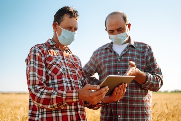 Landwirte in sterilen medizinischen Masken diskutieren landwirtschaftliche Fragen auf einem Weizenfeld Agro Business Covid19