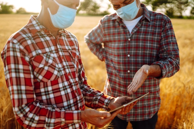 Landwirte in sterilen medizinischen Masken diskutieren landwirtschaftliche Fragen auf einem Weizenfeld Agro Business Covid19