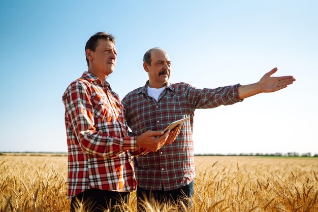 Landwirte mit Tablet im Feld Moderne Agrartechnik Smart-Farming-Konzept