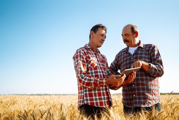 Landwirte mit Tablet im Feld Moderne Agrartechnik Smart-Farming-Konzept