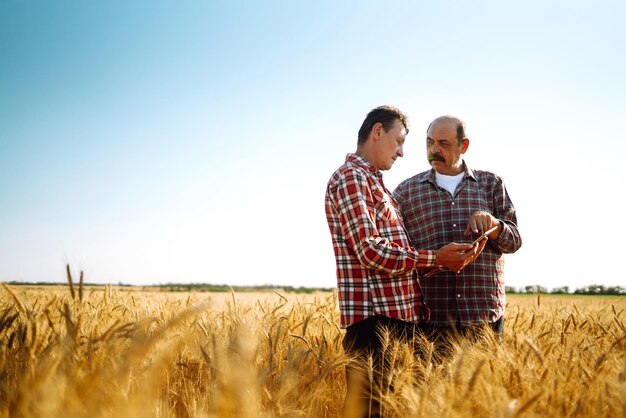 Landwirte mit Tablet im Feld Moderne Agrartechnik Smart-Farming-Konzept