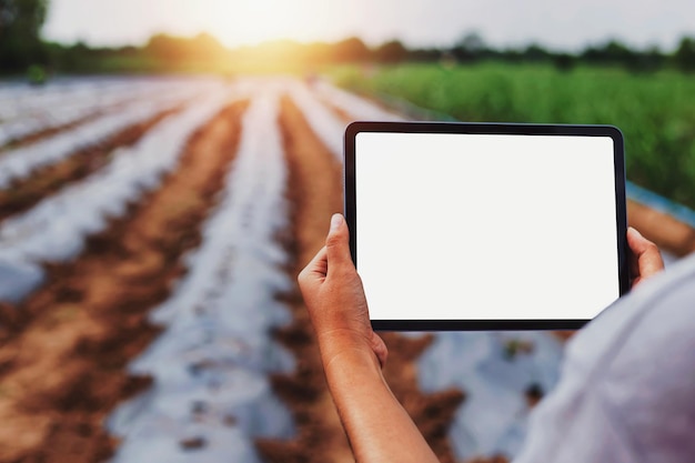 Landwirte verwenden Smartphones, um landwirtschaftliche Parzellen zu inspizieren