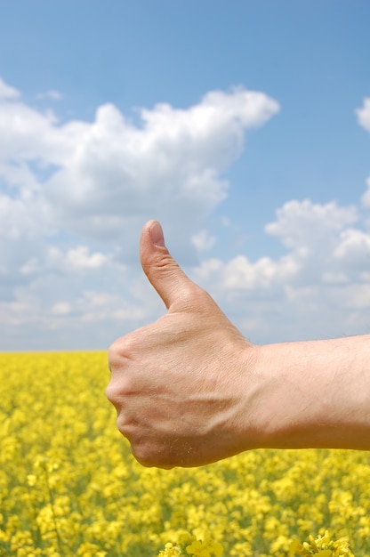 Landwirte zeigen ok Symbol über Vergewaltigungsfeld