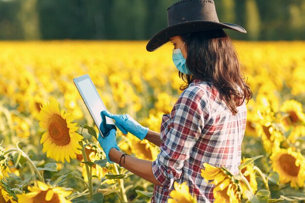 Landwirtin Agronomin in Handschuhen und Gesichtsmaske auf dem Sonnenblumenfeld mit Tablette, die die Ernte überprüft.