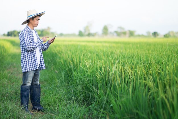 Landwirtmann, der Smartphone an der grünen Reisfarm verwendet. Bild mit Kopierraum für Design.