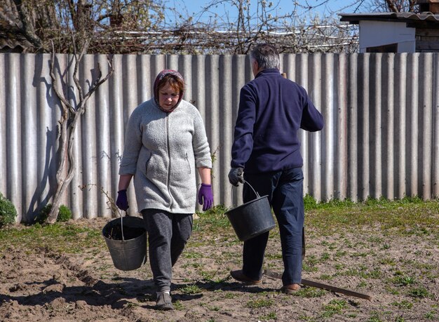 Landwirtschaft, Gartenarbeit, Landwirtschaft glückliches älteres Paar, das im Garten auf Sommerfarm arbeitet