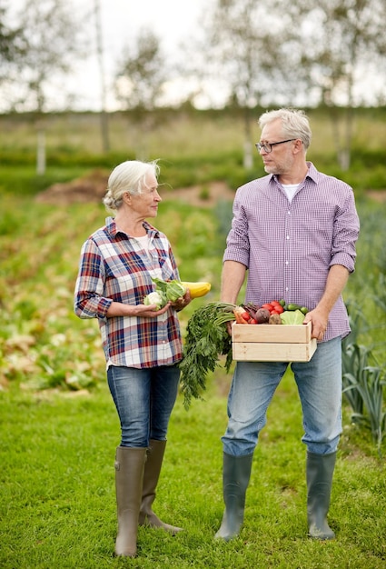 Landwirtschaft, Gartenbau, Landwirtschaft, Ernte und Menschenkonzept - älteres Paar mit einer Kiste Gemüse auf dem Bauernhof