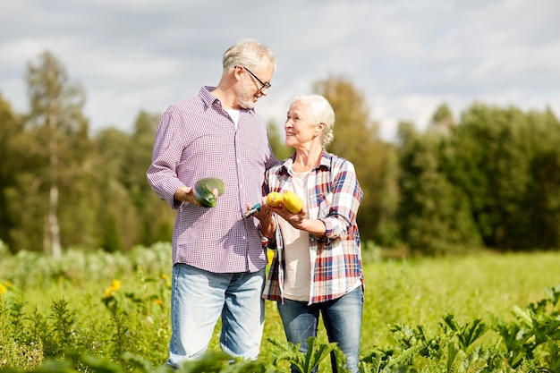 Landwirtschaft, Gartenbau, Landwirtschaft, Ernte und Menschenkonzept - älteres Paar mit Gemüse auf dem Bauernhof