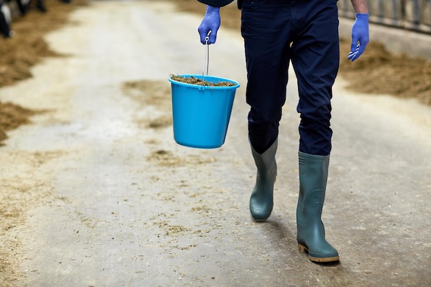 Foto landwirtschaft, industrie, landwirtschaft, menschen und viehzucht konzept - mann oder bauer mit einem eimer heu geht entlang des kuhhauses auf einer milchfarm