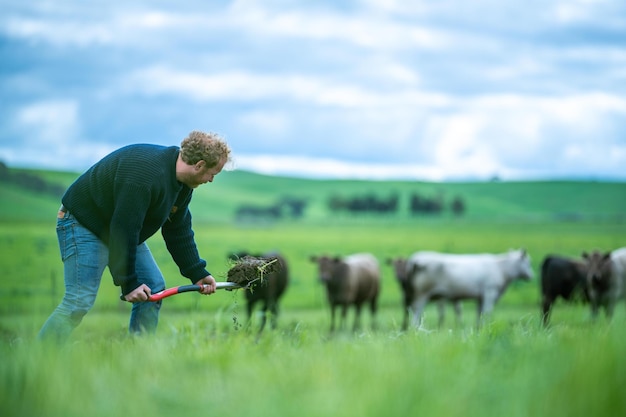 Landwirtschaft mit Blick auf den Boden auf einem Bauernhof im Frühjahr