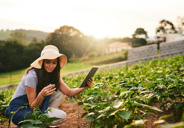 Landwirtschaftliche Ernte und Frau mit Tablet für Pflanzen organische und Wachstum von Gemüse und Feld Online-Landwirtschaft und Fernerkennung für die Landwirtschaft umweltfreundlich und Bodenprüfung auf Feuchtigkeit in der Farm