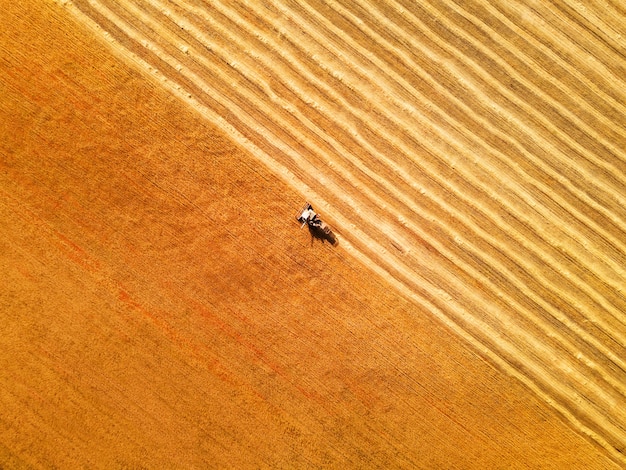 Landwirtschaftliche Erntemaschine in einem gelben Weizenfeld. Luftdrohnenansicht von bunten Feldern. Ernte des Weizens in der Sommersaison