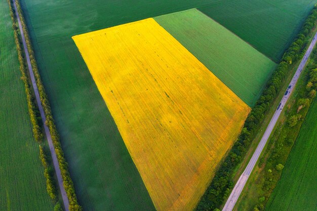 Landwirtschaftliche Felder auf dem Land, ein Blick von einer Drohne