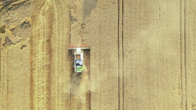 Landwirtschaftliche Felder auf dem Land